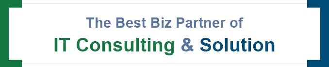 The Baest Biz Partner of IT Consulting & Solution